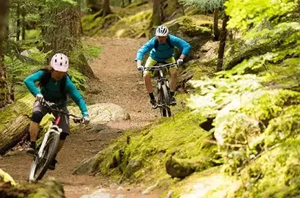 Zwei Mountainbiker in blauer Kleidung fahren hintereinander auf einem Waldweg durch einen moosbedeckten Wald mit grüner Vegetation.